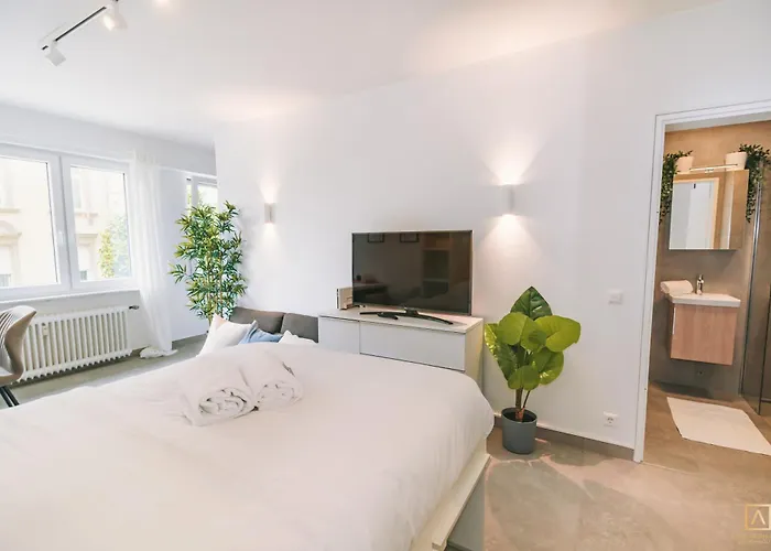 Apartamento Stylish In The Heart Of Luxemburgo