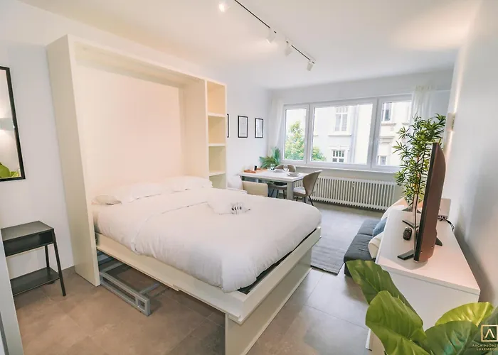 Stylish In The Heart Of