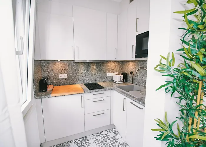 Stylish In The Heart Of Apartment Luxemburg